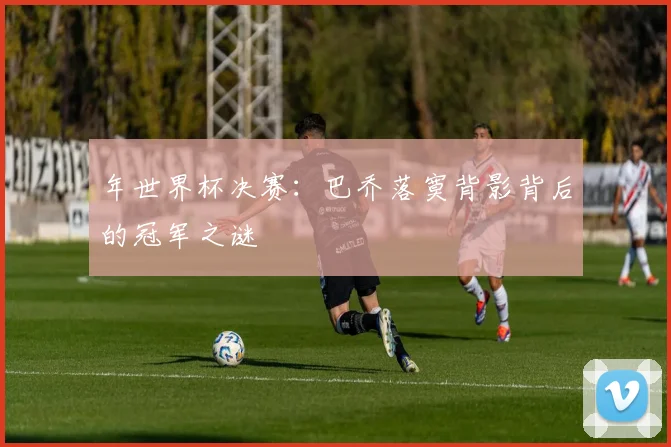 年世界杯决赛:巴乔落寞背影背后的冠军之谜