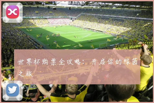 世界杯购票全攻略:开启你的绿茵之旅