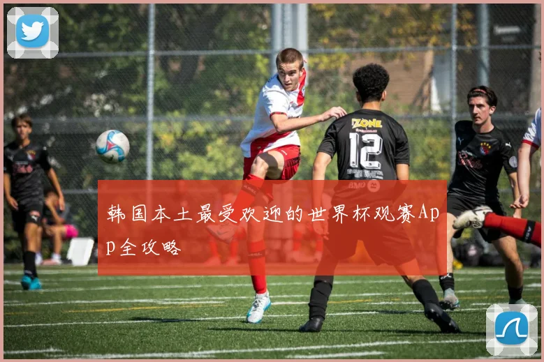 韩国本土最受欢迎的世界杯观赛App全攻略