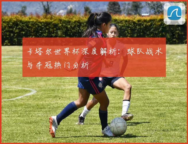卡塔尔世界杯深度解析：球队战术与夺冠热门分析