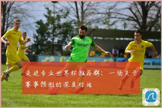 走进专业世界杯推荐群:一场关于赛事预测的深度对话